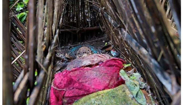 87729664_2276728762627595_6649343766040347788_n