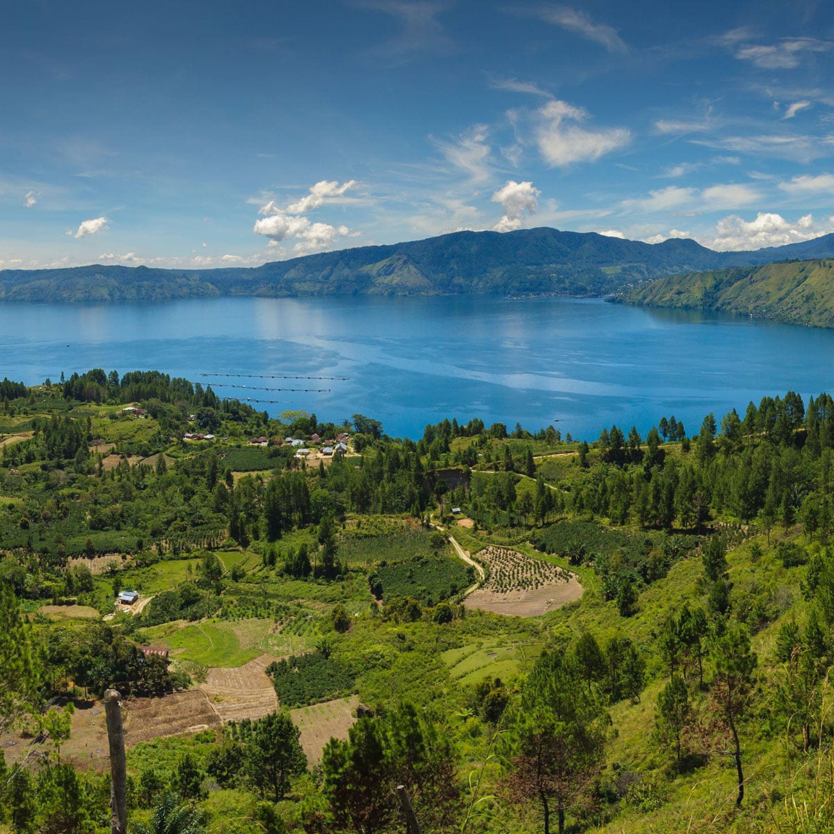 WhatsApp Image 2023-02-23 at 12.11.07