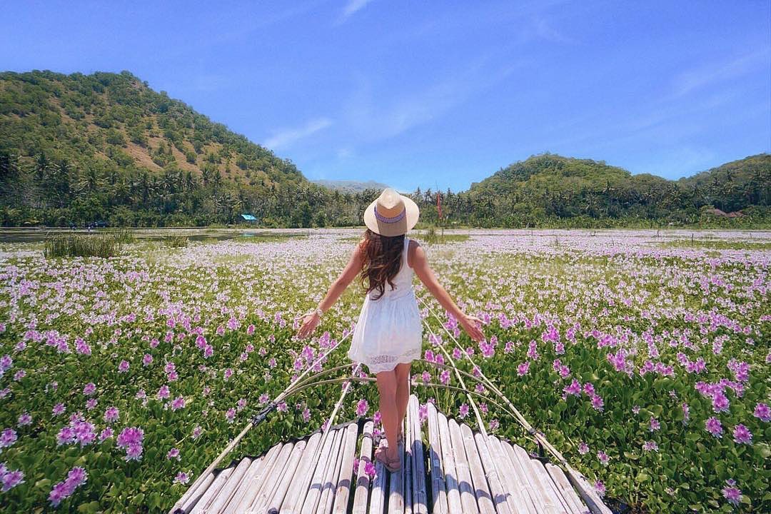 ellchintya  yeh malet(JPG)