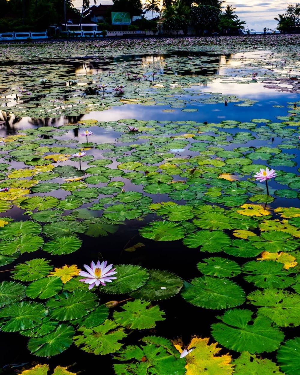 img-8687-ab4619aabfaf6a6b37aa8be3d5052374