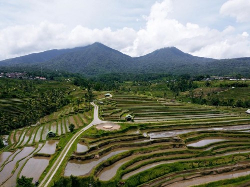 10 tourism villages that have great trekking packages in Bali.