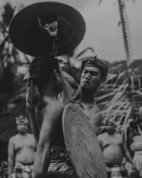 Pandan War: The War dance ceremony in Bali