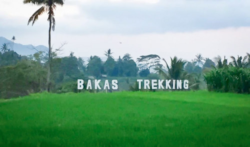 Bakas Agriculture Trekking - Atraksi Unggulan Desa Wisata Bakas