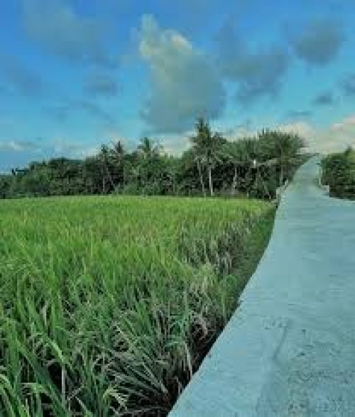 Menjelajahi Kesegaran Alam dan Budaya Autentik: Desa Wisata Tista di Tabanan