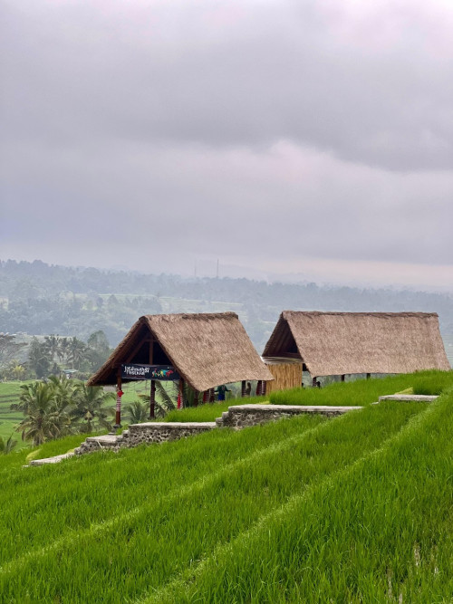 Dari Desa ke Dunia: Mengapa Desa Wisata Adalah Kunci Masa Depan Pariwisata Indonesia?